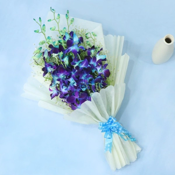 17346079321-600x600-1_698e1ca7.webp